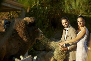 Στεργιος Μαιρη φωτογραφιες γαμου_00